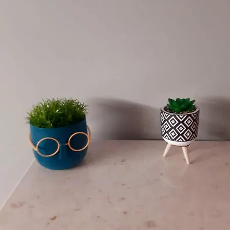 Edea Flat Appartamento Tirana